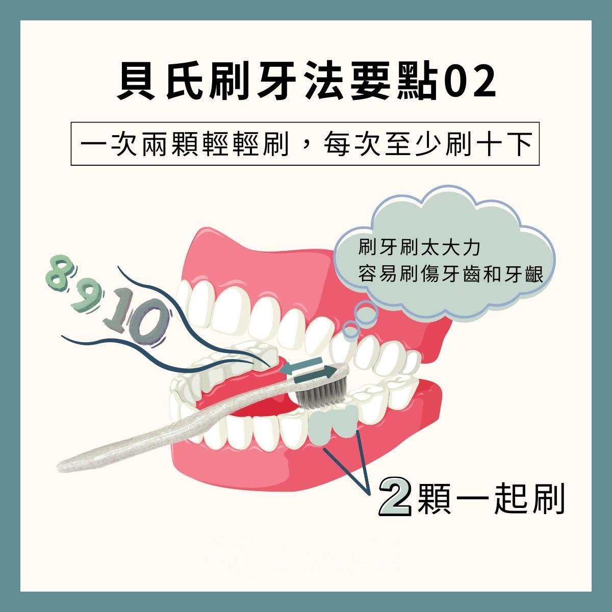 衛教圖示：貝氏刷牙法要點二，一次刷兩顆牙、輕輕來回，每個部位至少刷十下，避免用力刷傷牙齒與牙齦