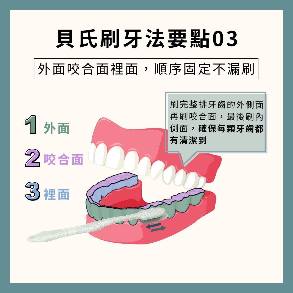 衛教圖示：貝氏刷牙法要點三，依外側面、咬合面、內側面固定順序刷，確保每顆牙齒都清潔到、不漏刷