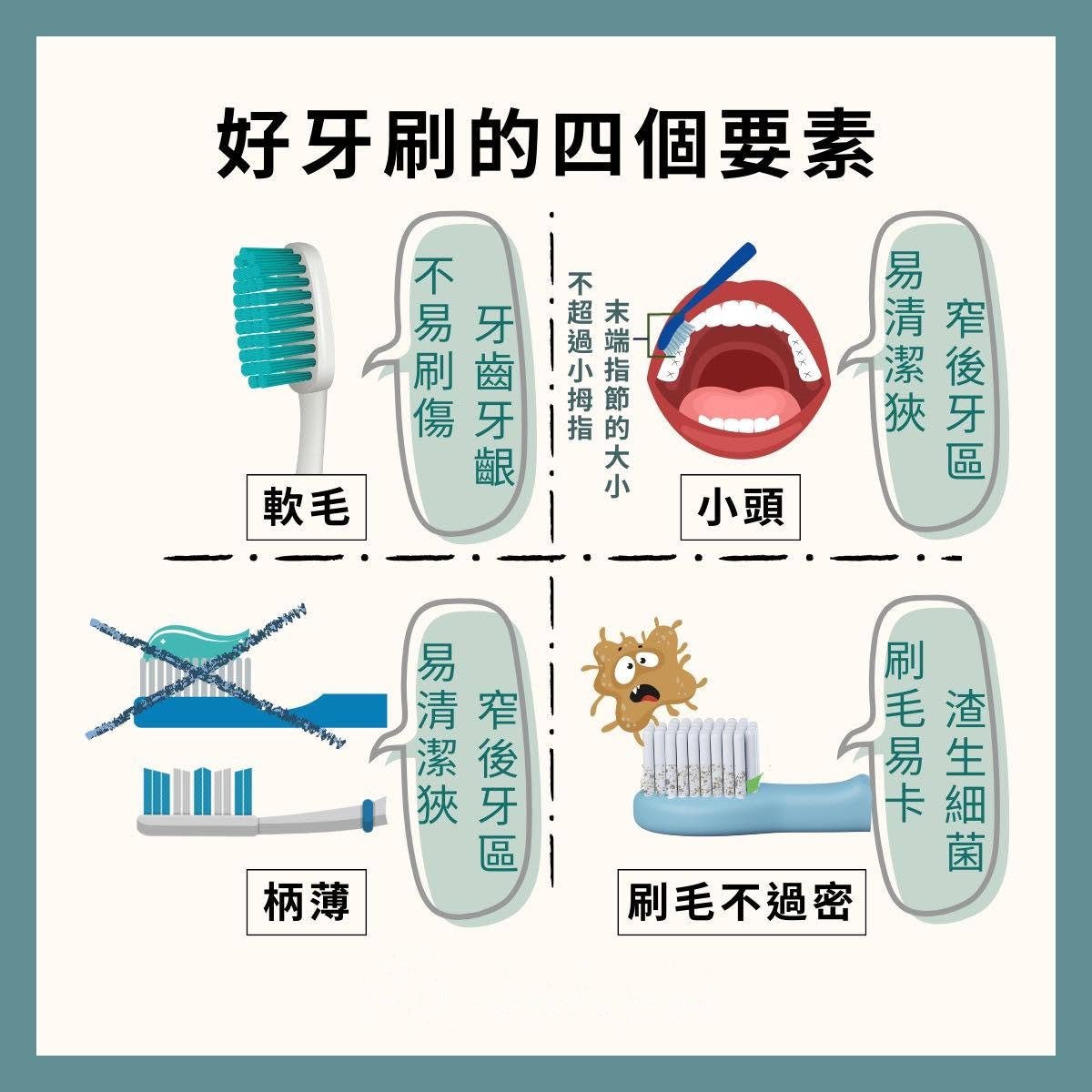 衛教圖示：好牙刷的四個要素——軟毛、小頭、柄薄、刷毛不過密，說明如何挑選能刷到牙齒牙齦交界處的牙刷